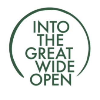 into the great wide open logo